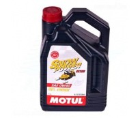 Motul Snowpower 4T 0/40 4л