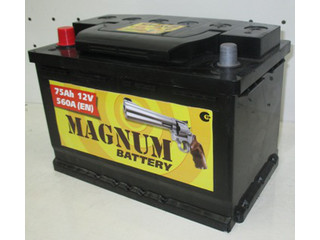 Аккумулятор 6ст - 75 (Magnum)
