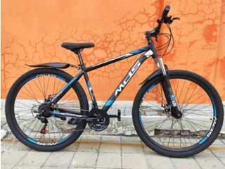 MDS 29