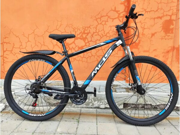 MDS 29